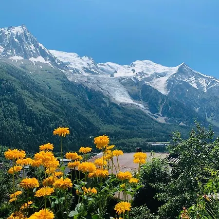 أوبرج دو بوا بران فندق